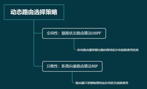 計算機網(wǎng)絡基礎 路由選擇協(xié)議與軟硬件及網(wǎng)絡技術開發(fā)